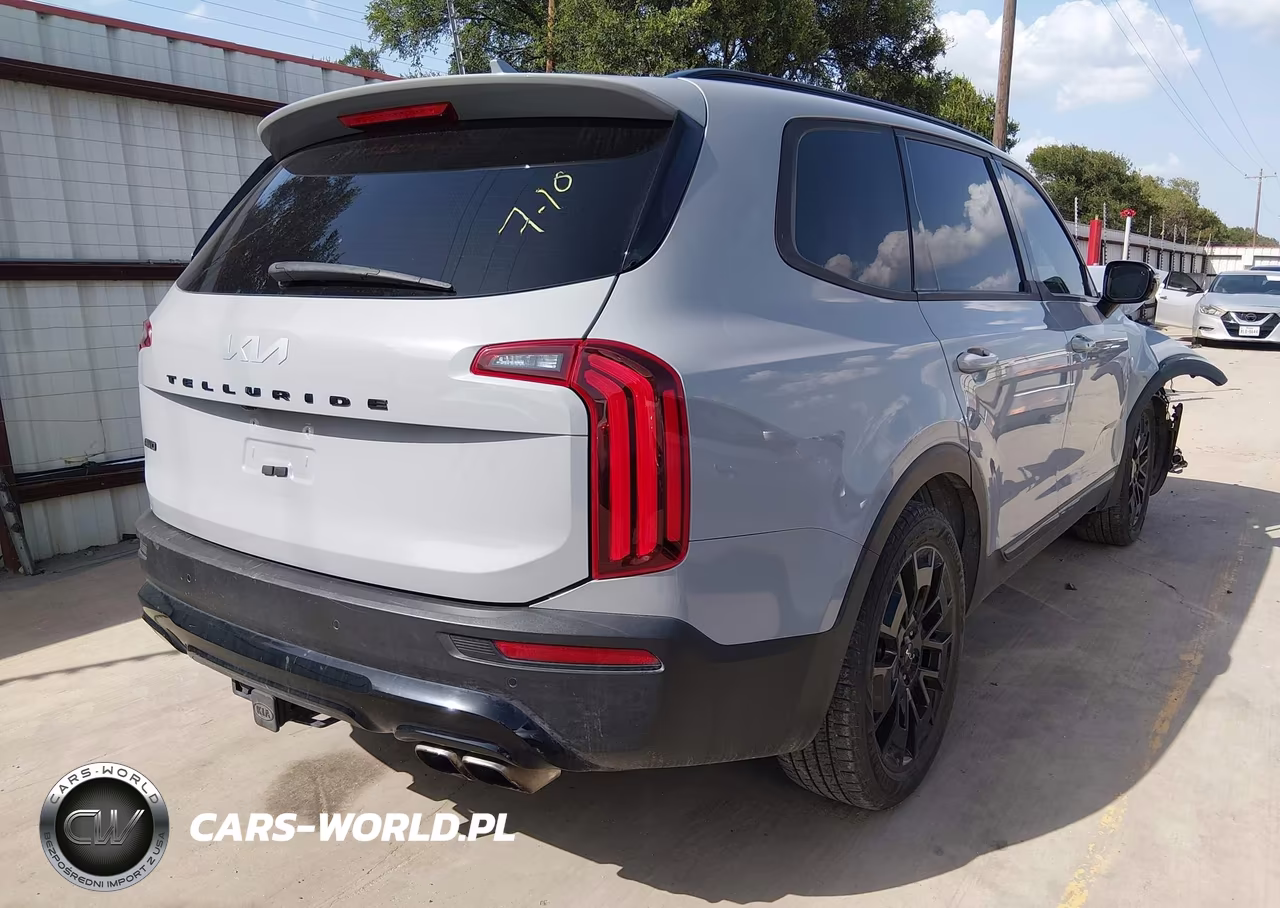 2022 Kia Telluride Sx VIN:5XYP5DHC5NG230026 - 4