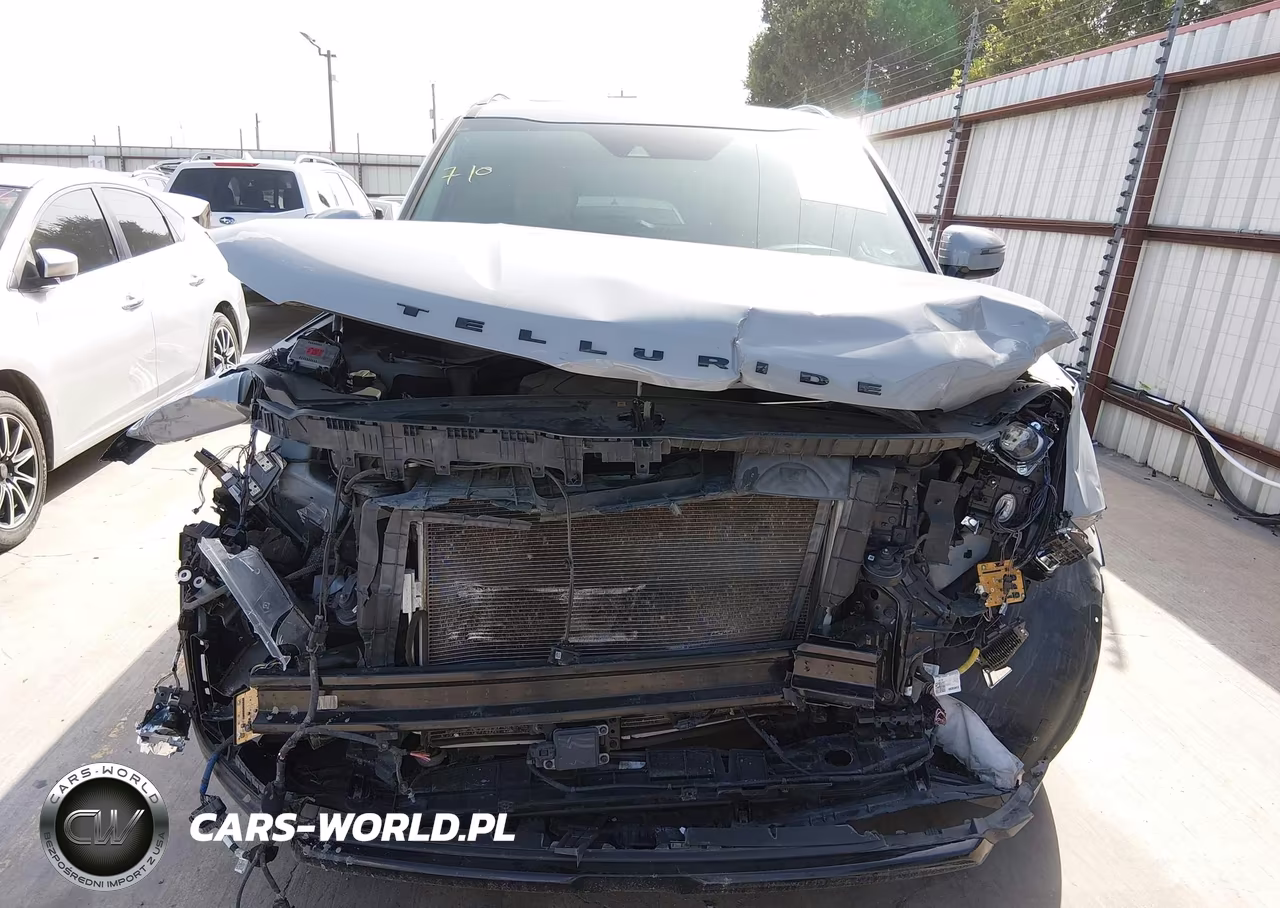 2022 Kia Telluride Sx VIN:5XYP5DHC5NG230026 - 6