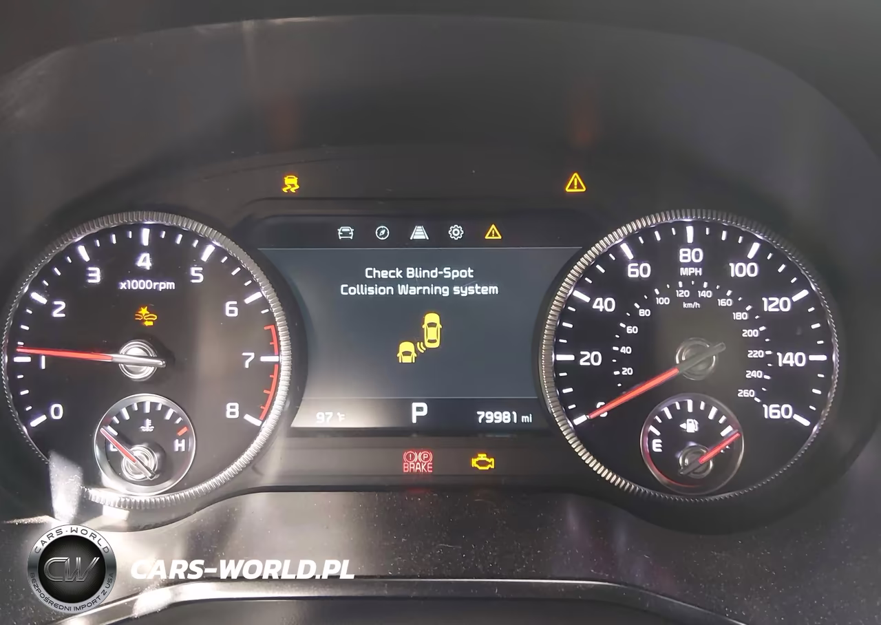 2022 Kia Telluride Sx VIN:5XYP5DHC5NG230026 - 7