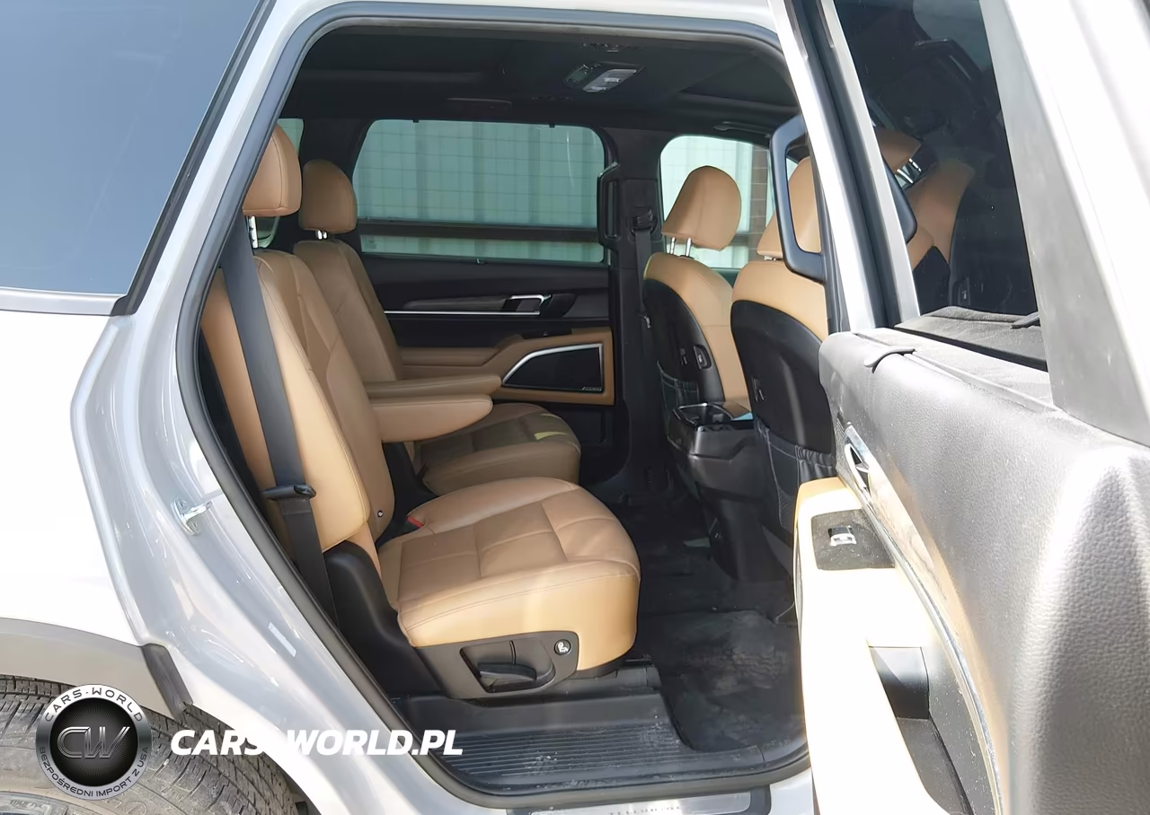 2022 Kia Telluride Sx VIN:5XYP5DHC5NG230026 - 8