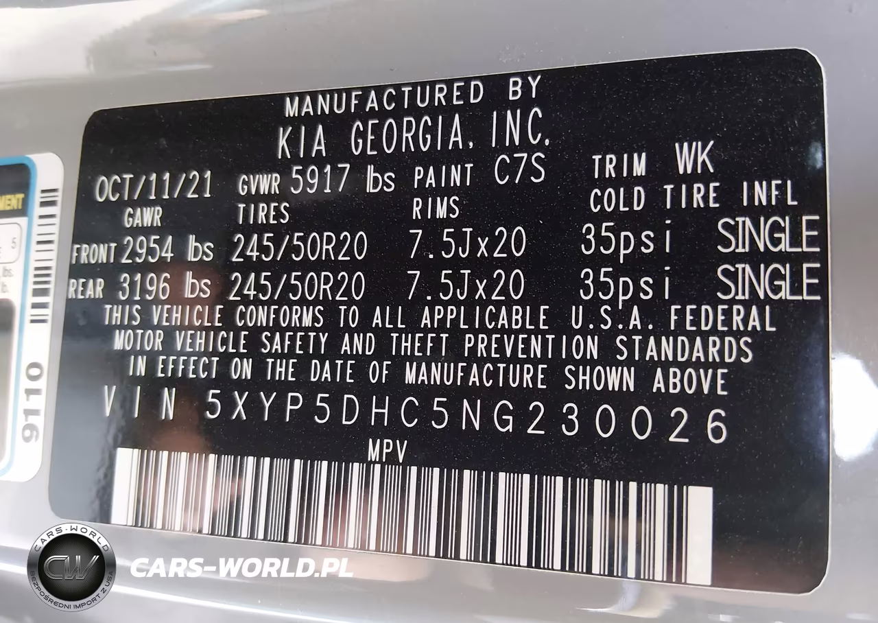 2022 Kia Telluride Sx VIN:5XYP5DHC5NG230026 - 9