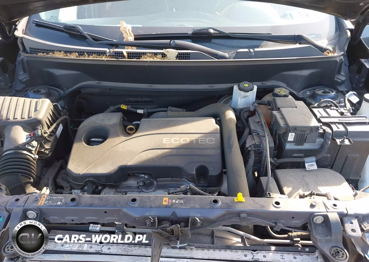 2019 Chevrolet Equinox Lt VIN:3GNAXUEV7KL185396 - 10