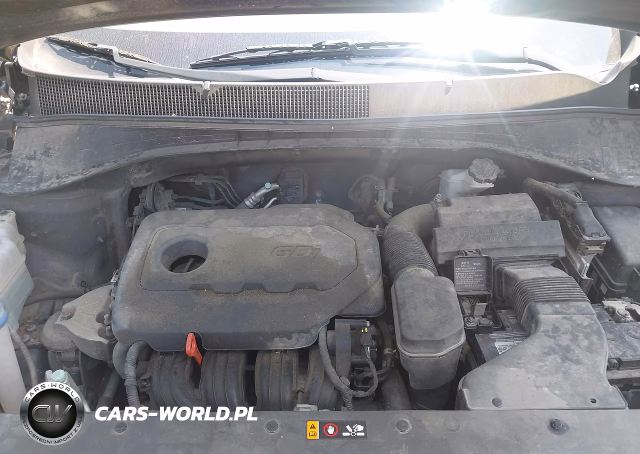 2016 Kia Sorento 2.4L Lx VIN:5XYPGDA34GG171302 - 10