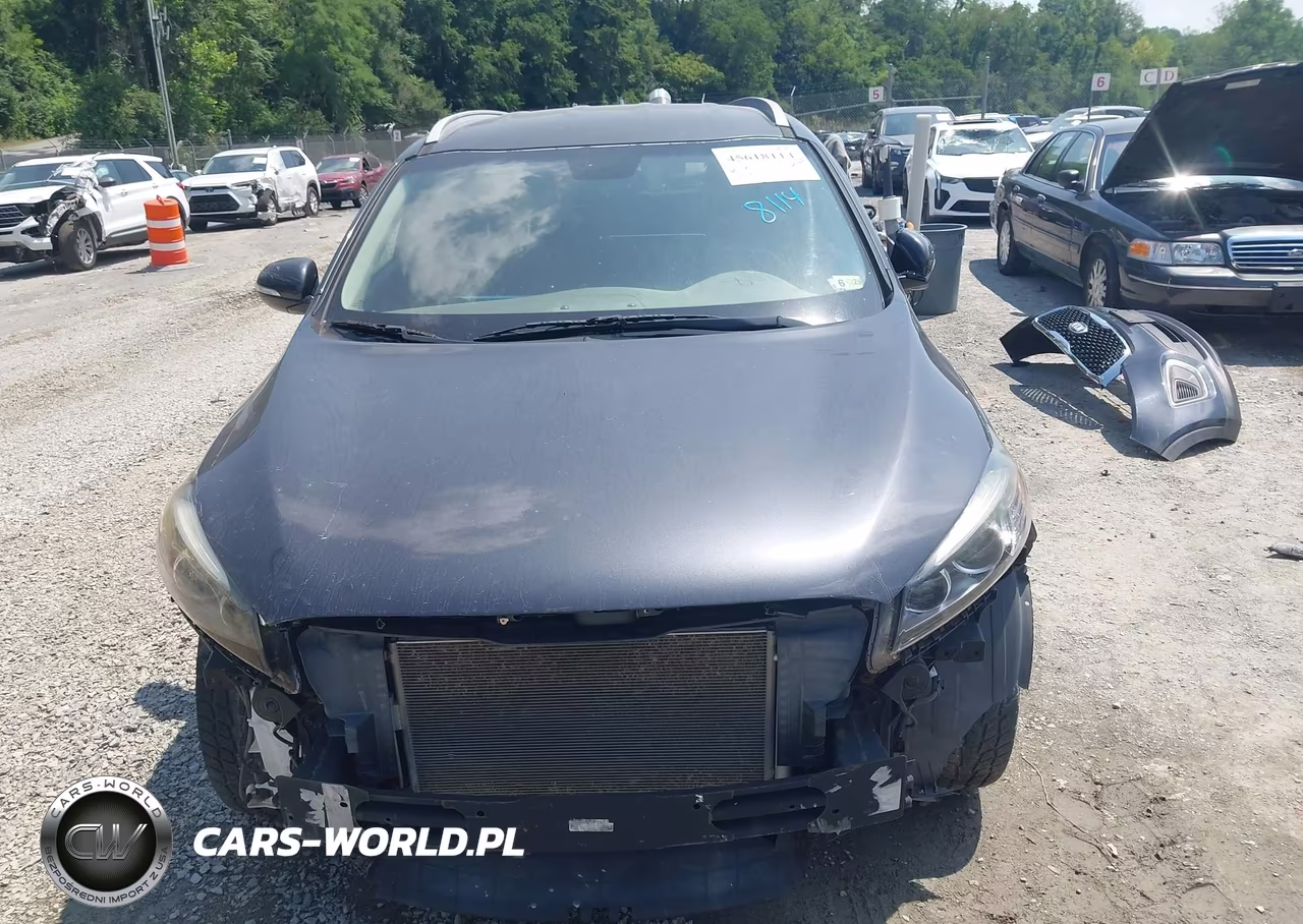 2016 Kia Sorento 2.4L Lx VIN:5XYPGDA34GG171302 - 13