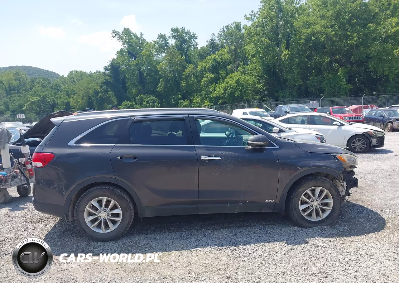 2016 Kia Sorento 2.4L Lx VIN:5XYPGDA34GG171302 - 14