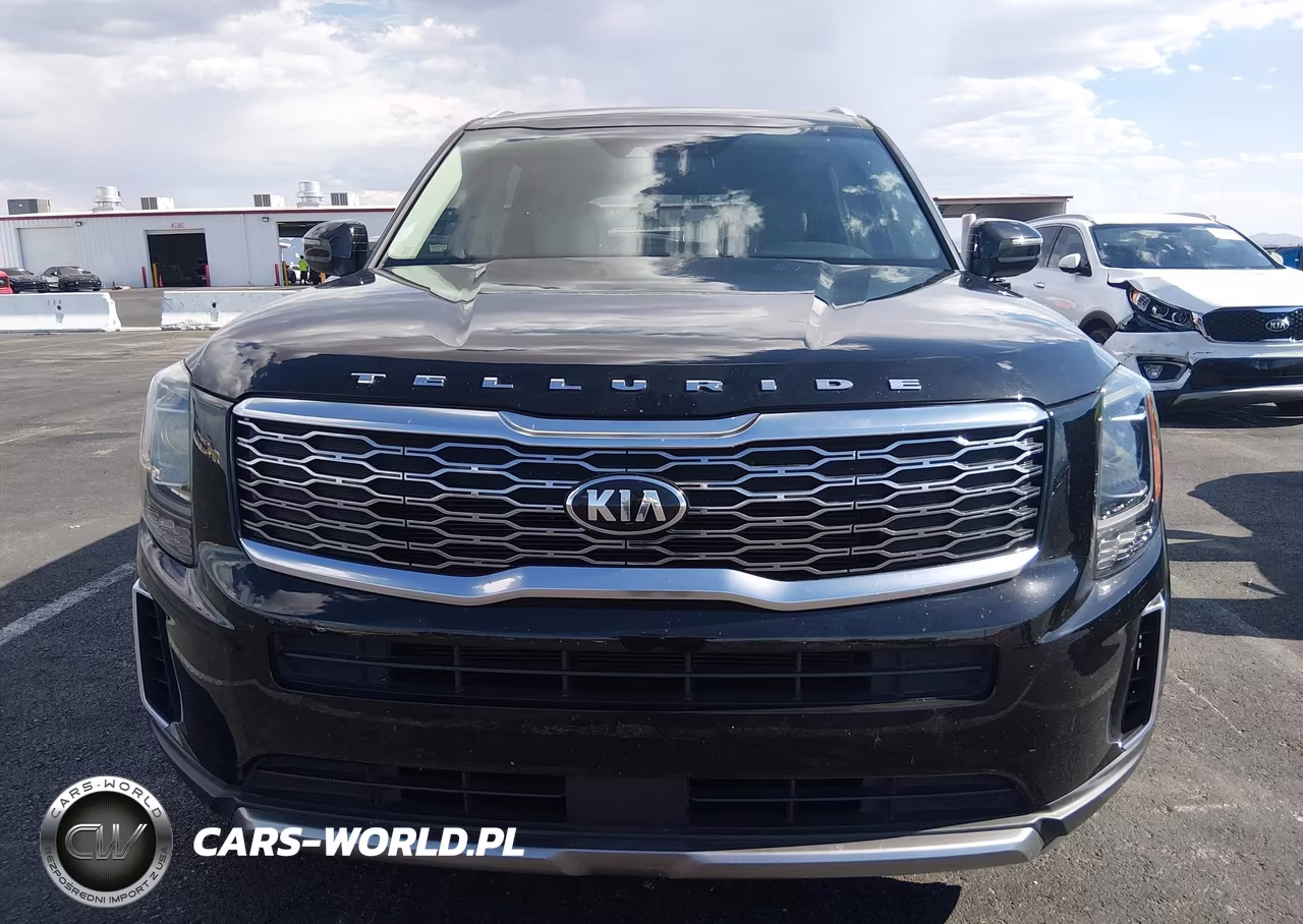 2020 Kia Telluride Ex VIN:5XYP34HCXLG091014 - 13