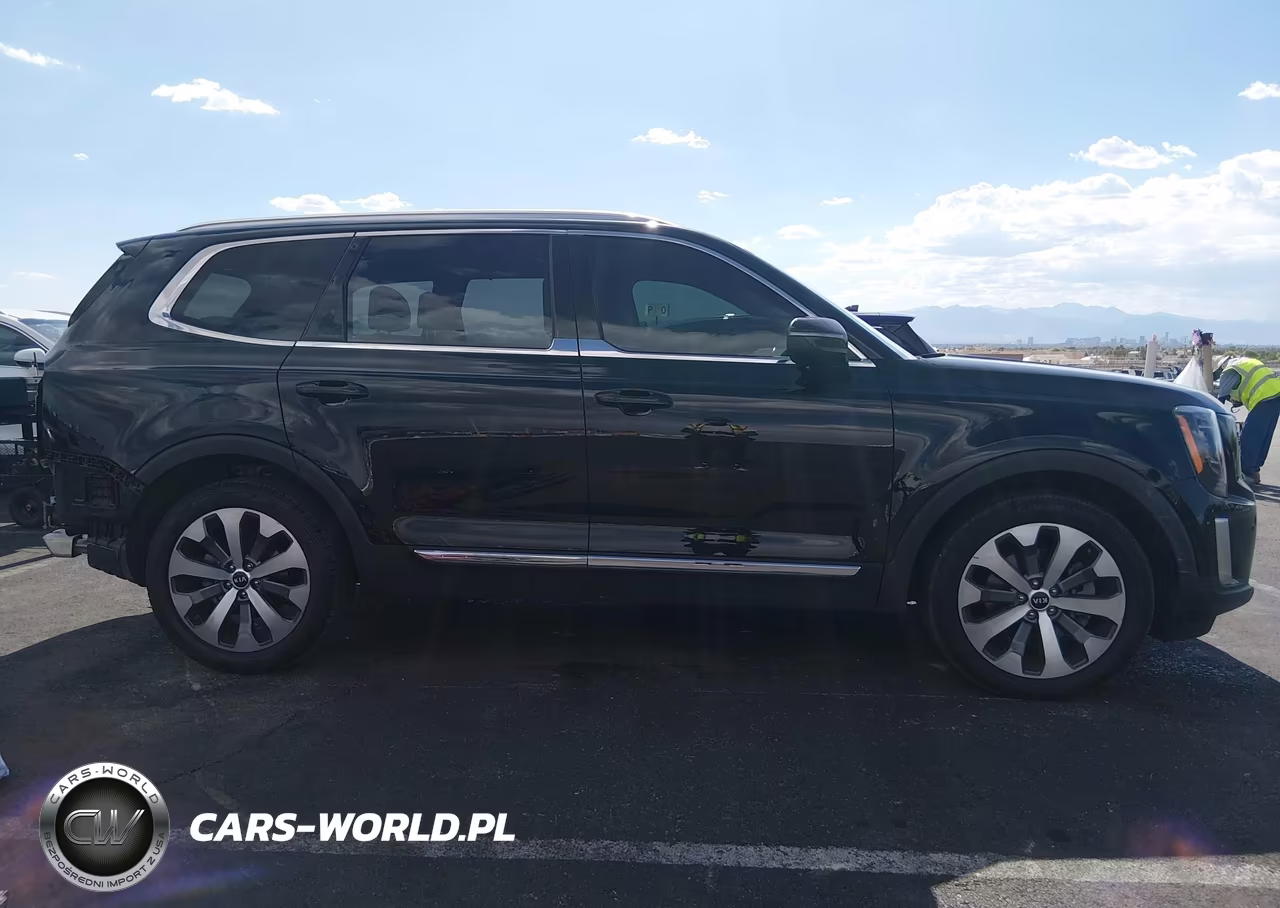 2020 Kia Telluride Ex VIN:5XYP34HCXLG091014 - 14