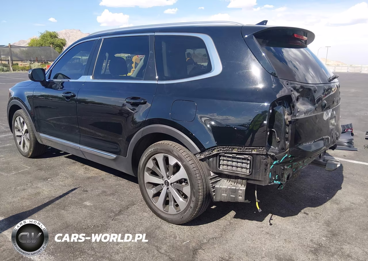2020 Kia Telluride Ex VIN:5XYP34HCXLG091014 - 3