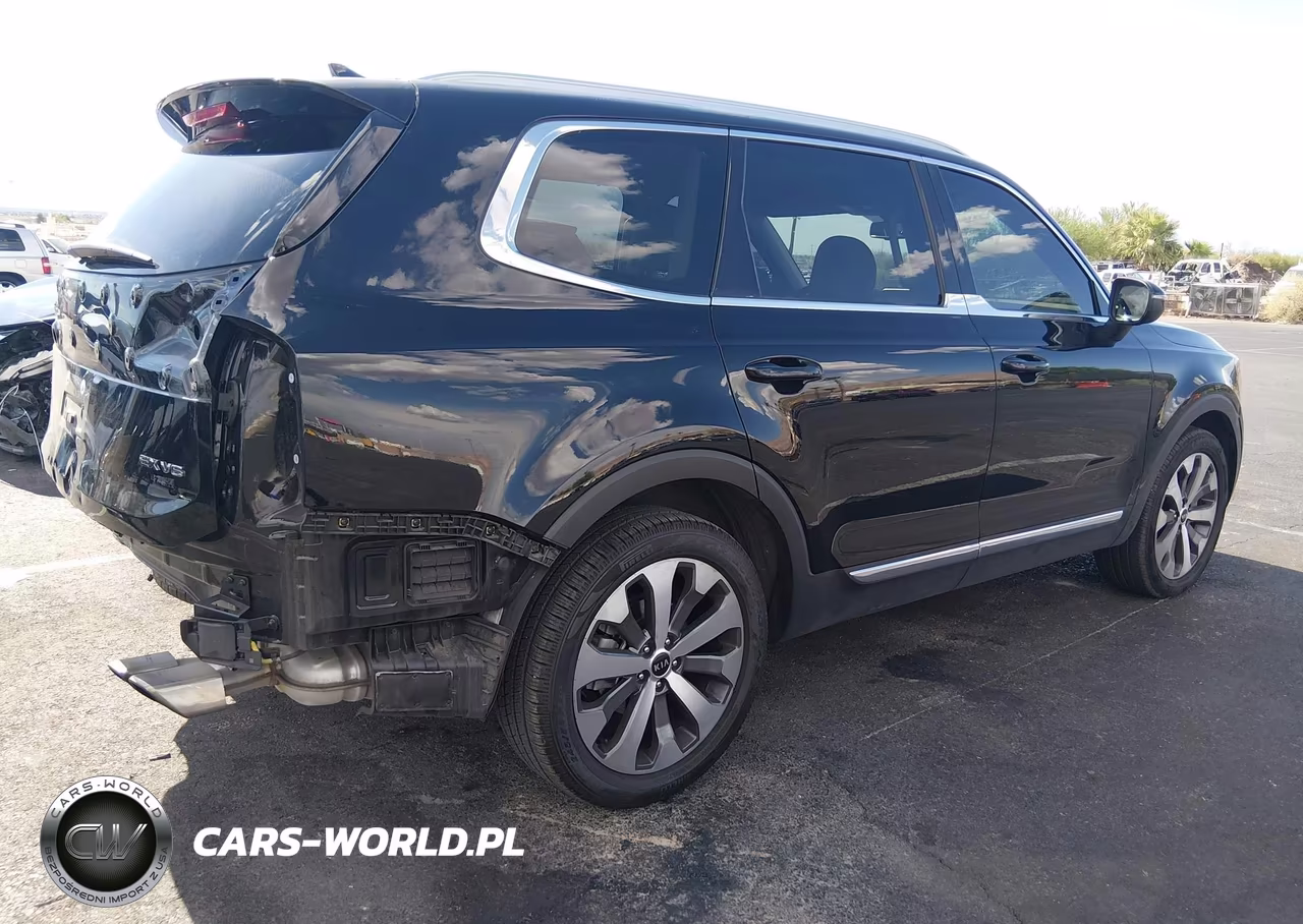 2020 Kia Telluride Ex VIN:5XYP34HCXLG091014 - 4