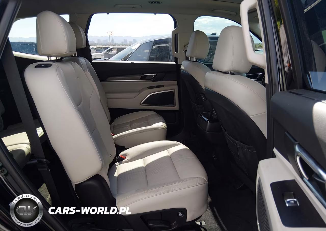 2020 Kia Telluride Ex VIN:5XYP34HCXLG091014 - 8