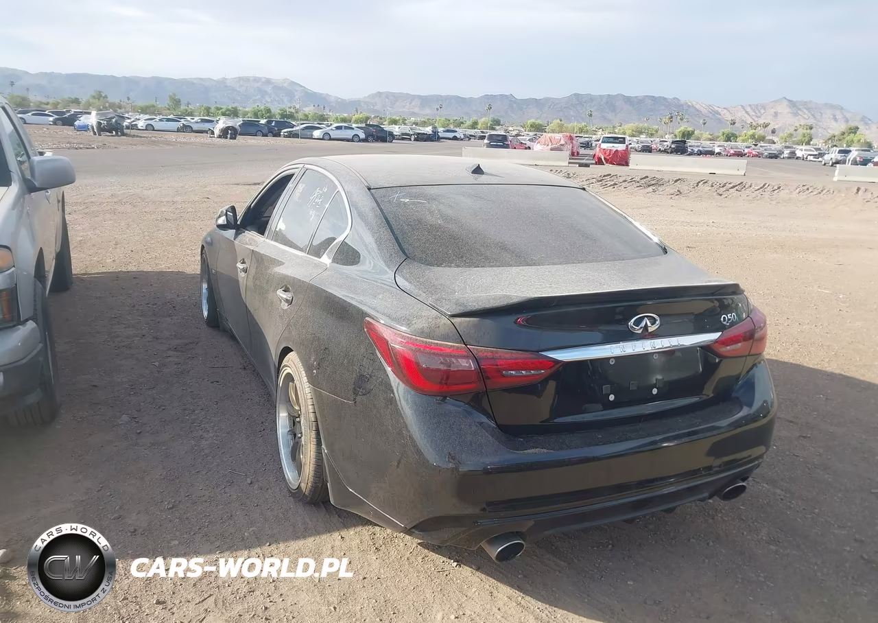 2019 Infiniti Q50 3.0T Luxe VIN:JN1EV7AP6KM513294 - 3