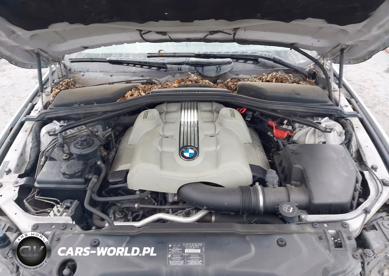 2005 BMW 545I VIN:WBANB33555CN65761 - 10