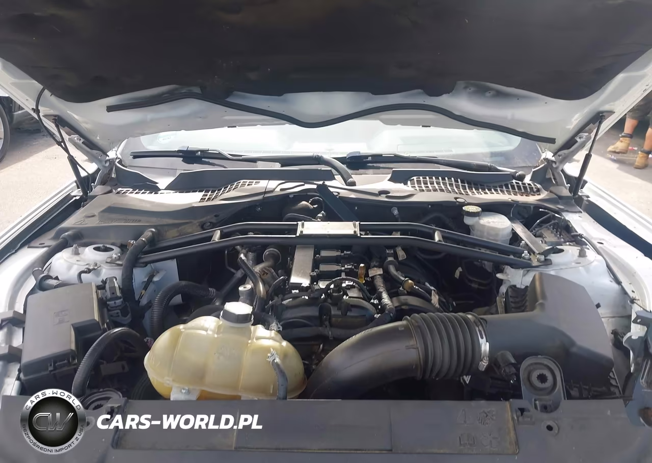 2021 Ford Mustang Ecoboost Fastback VIN:1FA6P8TH3M5148003 - 10