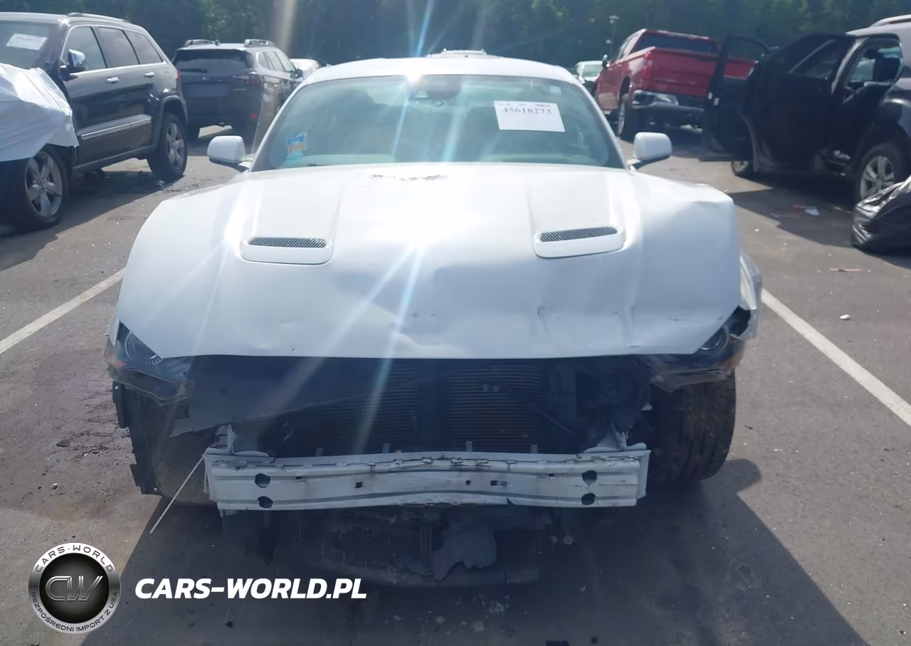 2021 Ford Mustang Ecoboost Fastback VIN:1FA6P8TH3M5148003 - 13