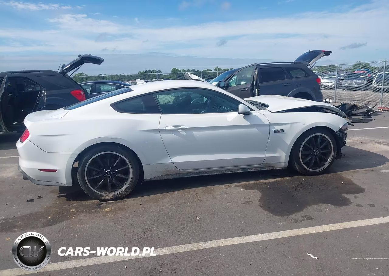 2021 Ford Mustang Ecoboost Fastback VIN:1FA6P8TH3M5148003 - 14