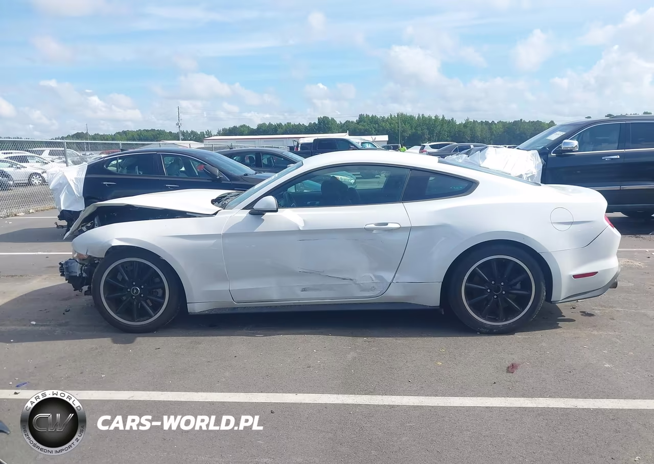 2021 Ford Mustang Ecoboost Fastback VIN:1FA6P8TH3M5148003 - 15