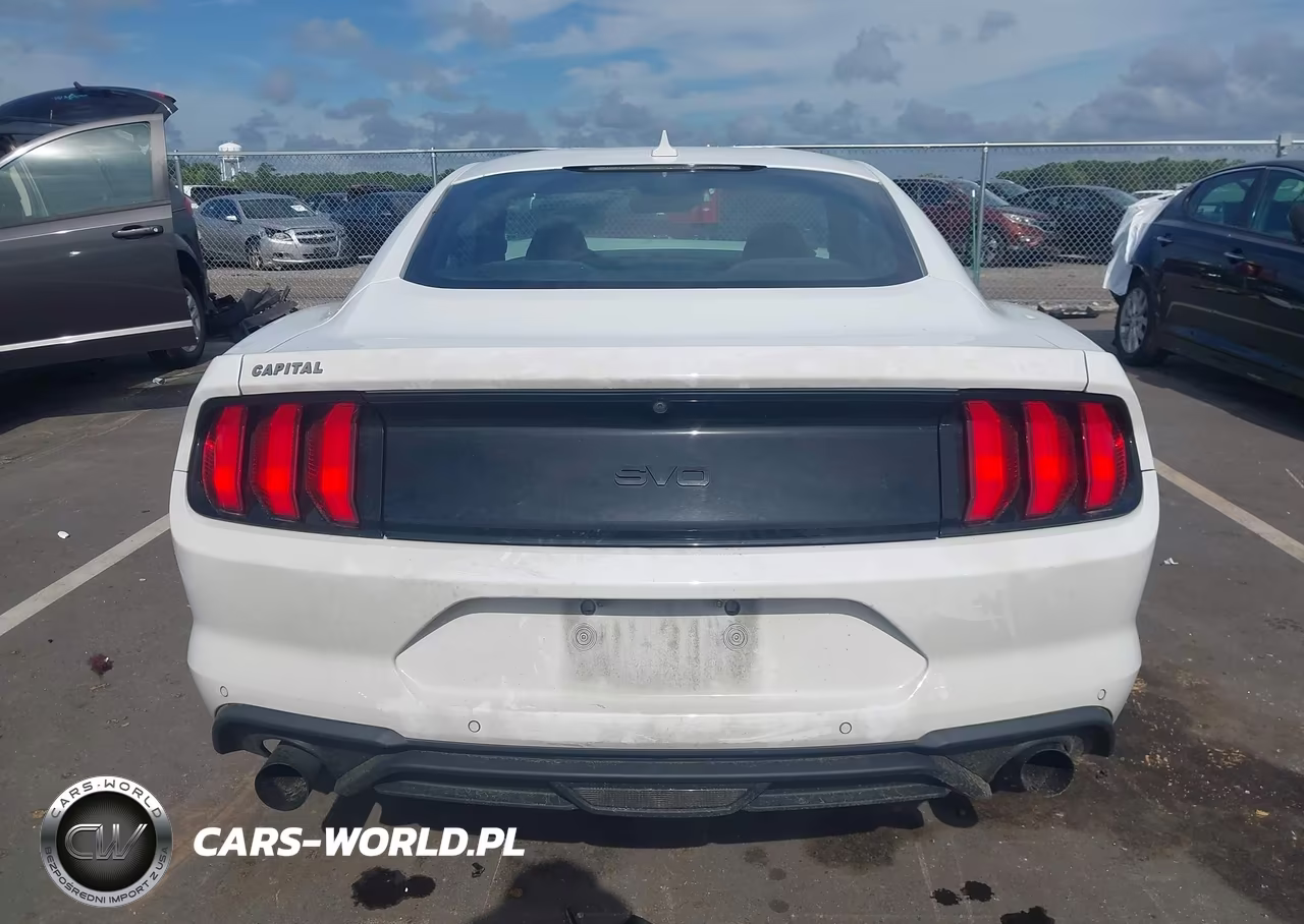 2021 Ford Mustang Ecoboost Fastback VIN:1FA6P8TH3M5148003 - 17