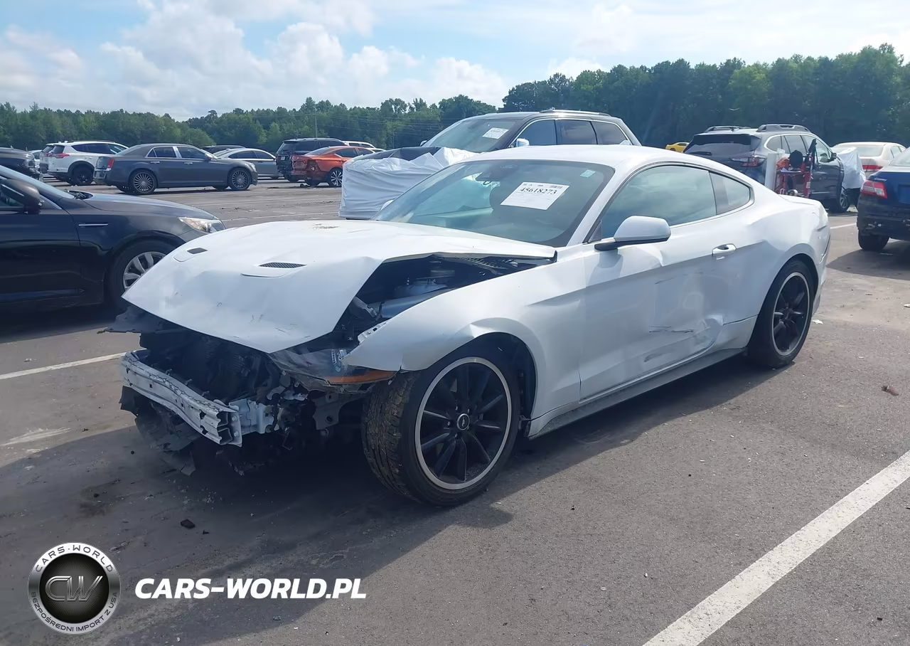 2021 Ford Mustang Ecoboost Fastback VIN:1FA6P8TH3M5148003 - 2