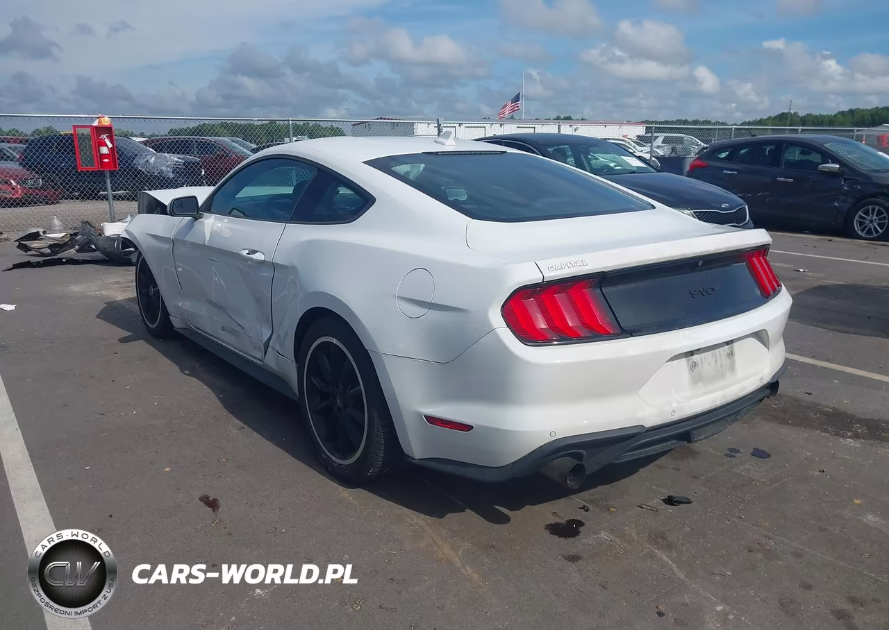 2021 Ford Mustang Ecoboost Fastback VIN:1FA6P8TH3M5148003 - 3