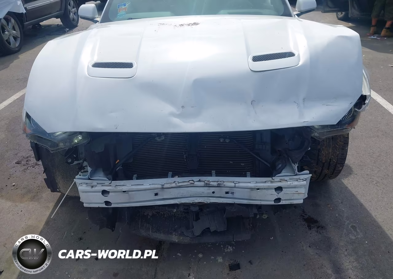 2021 Ford Mustang Ecoboost Fastback VIN:1FA6P8TH3M5148003 - 6