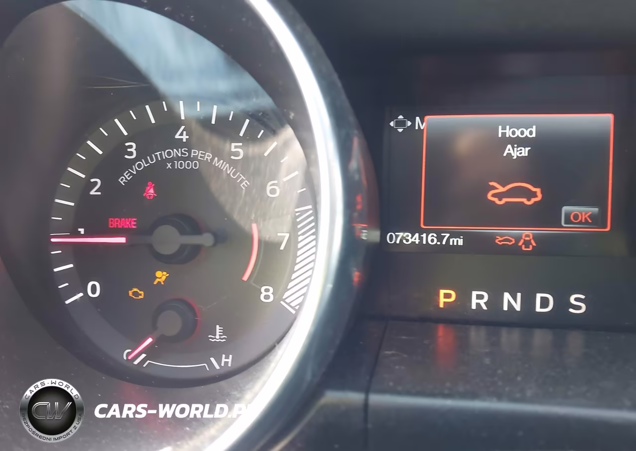 2021 Ford Mustang Ecoboost Fastback VIN:1FA6P8TH3M5148003 - 7