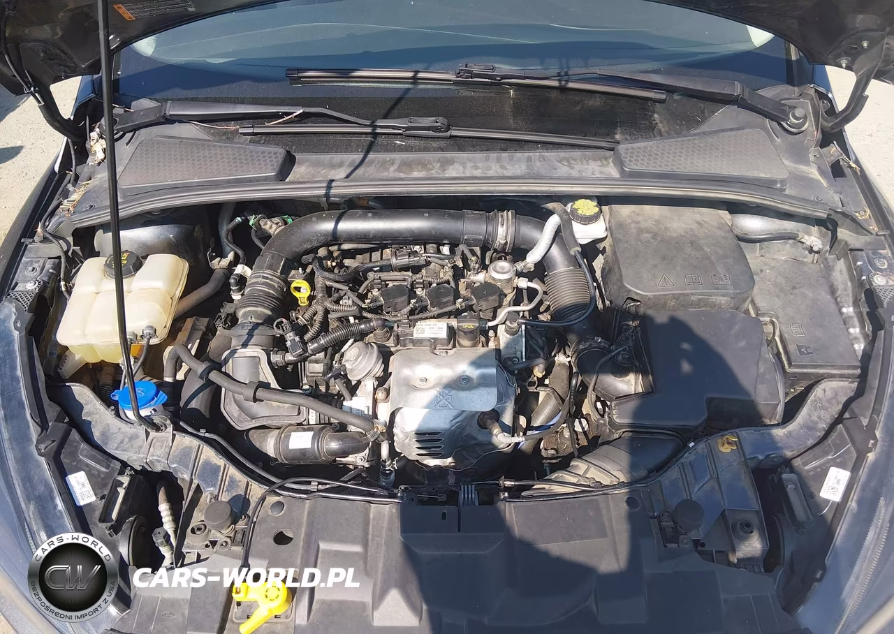 2018 Ford Focus Se VIN:1FADP3FEXJL224576 - 10
