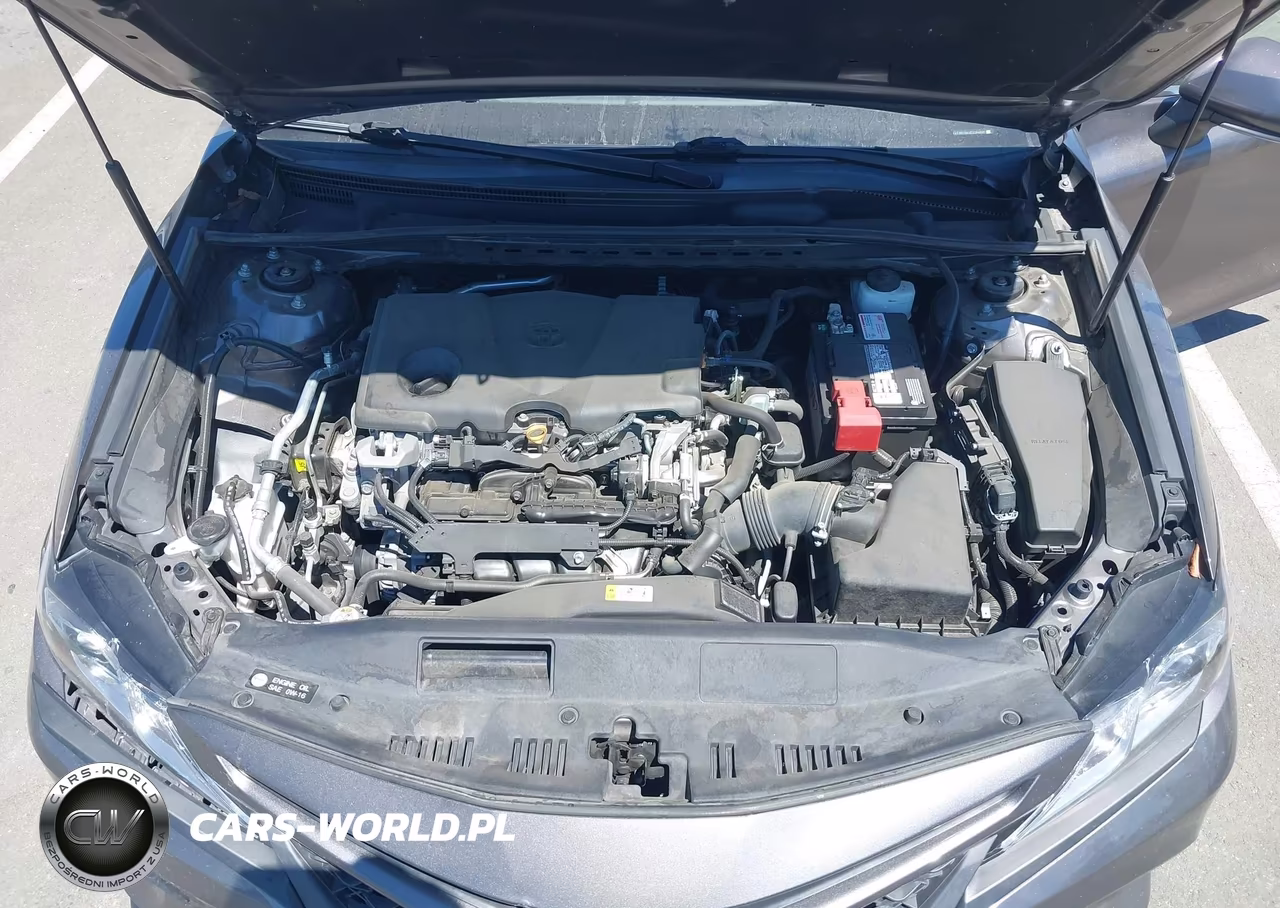 2020 Toyota Camry Se VIN:4T1M11AKXLU384897 - 10