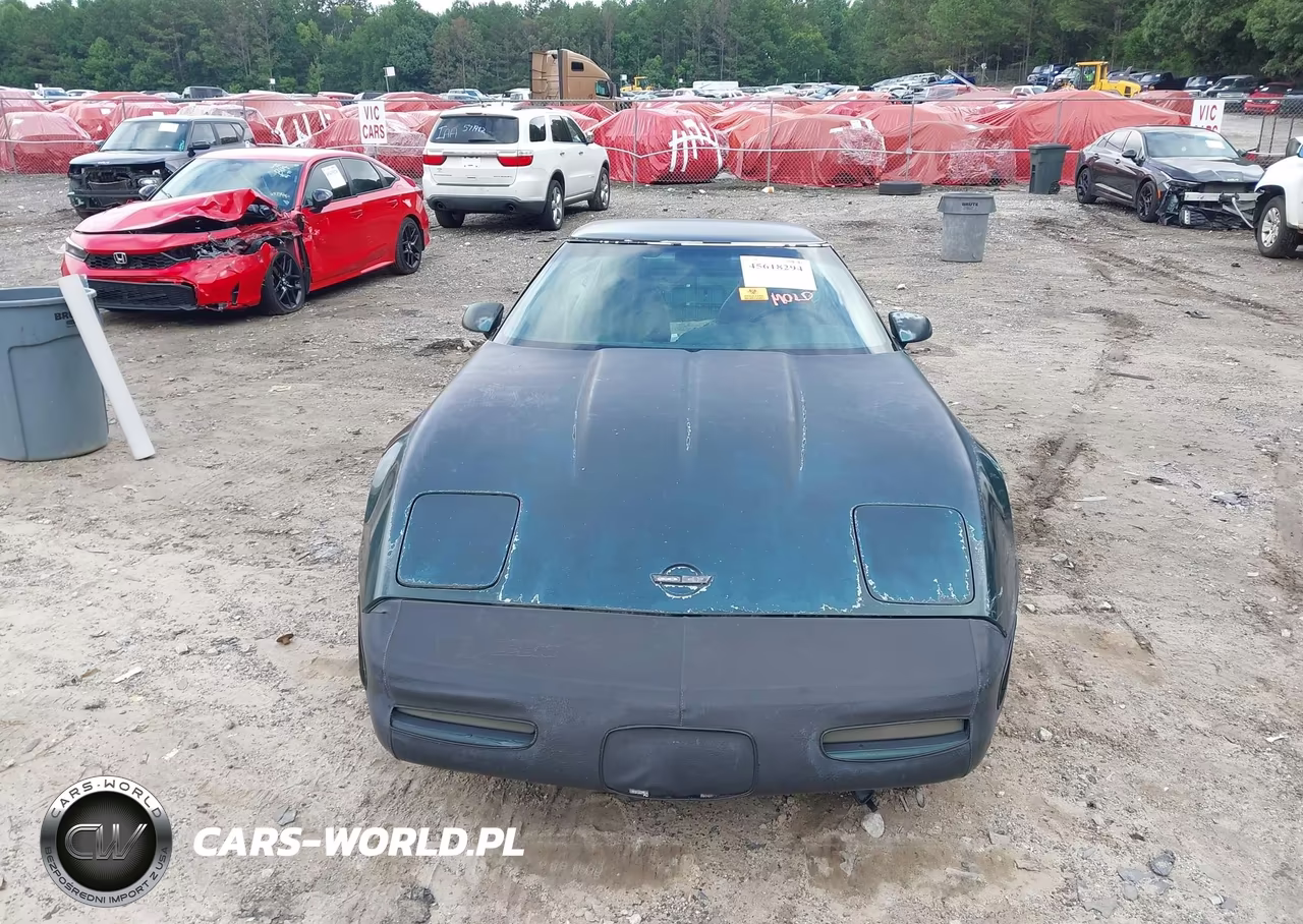 1994 Chevrolet Corvette VIN:1G1YY22P3R5104024 - 12