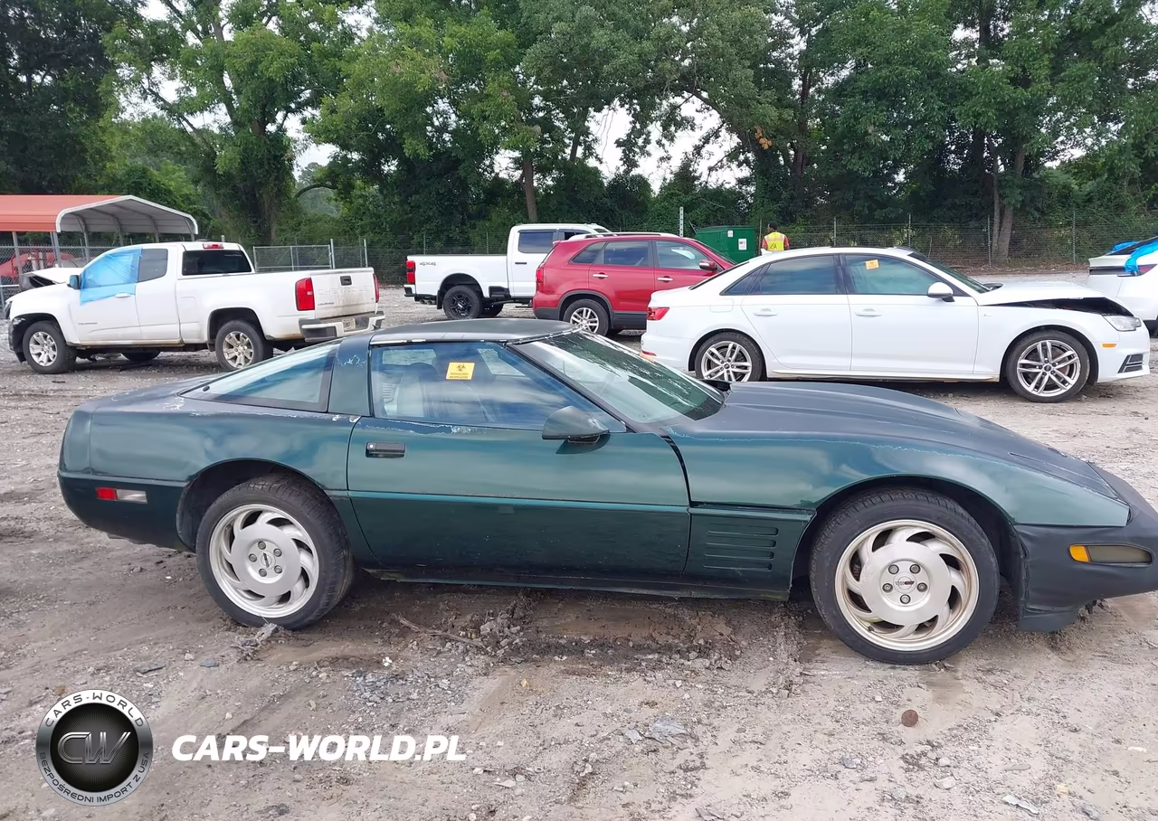 1994 Chevrolet Corvette VIN:1G1YY22P3R5104024 - 13