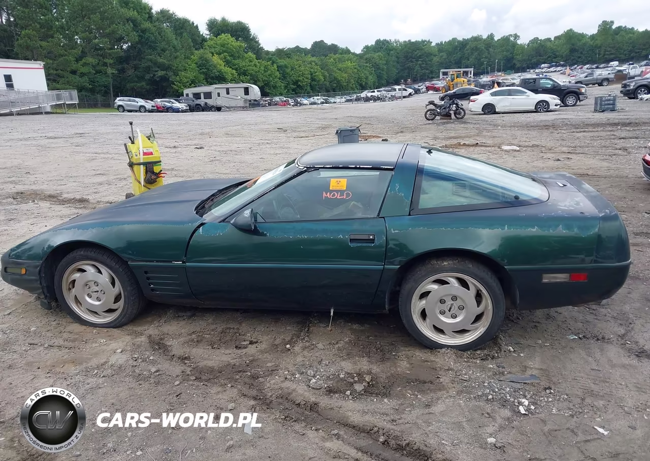 1994 Chevrolet Corvette VIN:1G1YY22P3R5104024 - 14