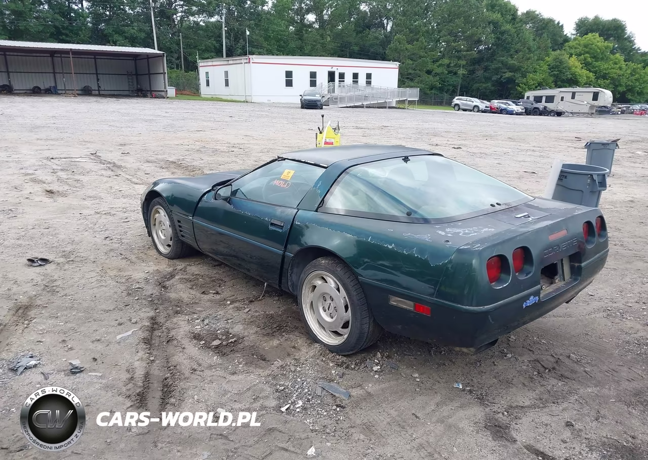 1994 Chevrolet Corvette VIN:1G1YY22P3R5104024 - 3