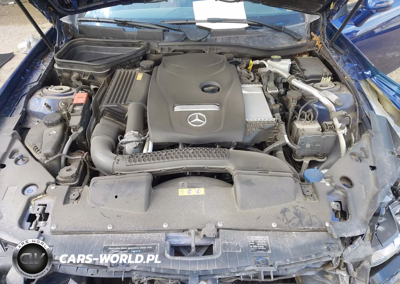 2017 Mercedes-Benz Slc 300 VIN:WDDPK3JA4HF133277 - 10