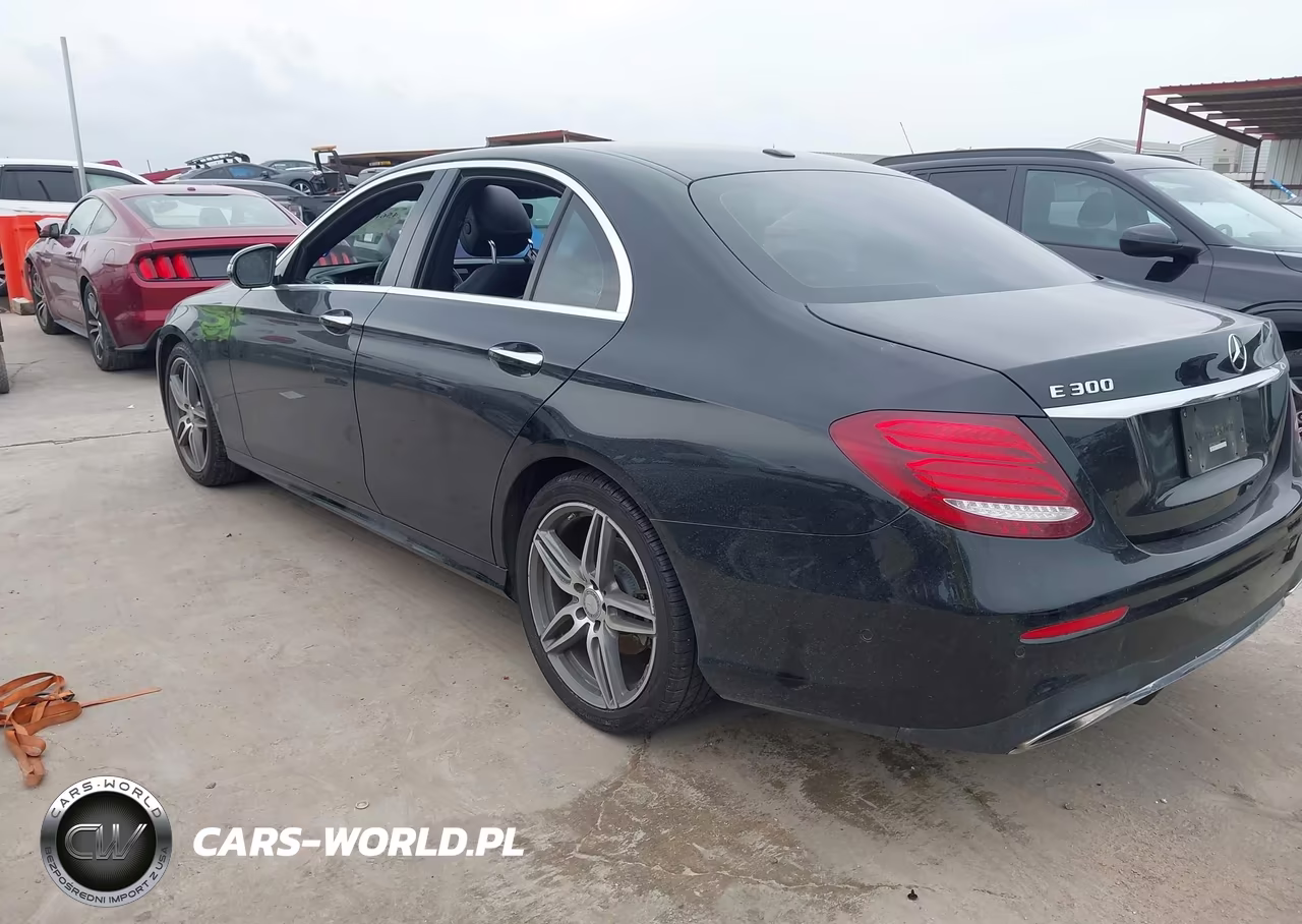 2017 Mercedes-Benz E 300 VIN:WDDZF4JB6HA178262 - 3