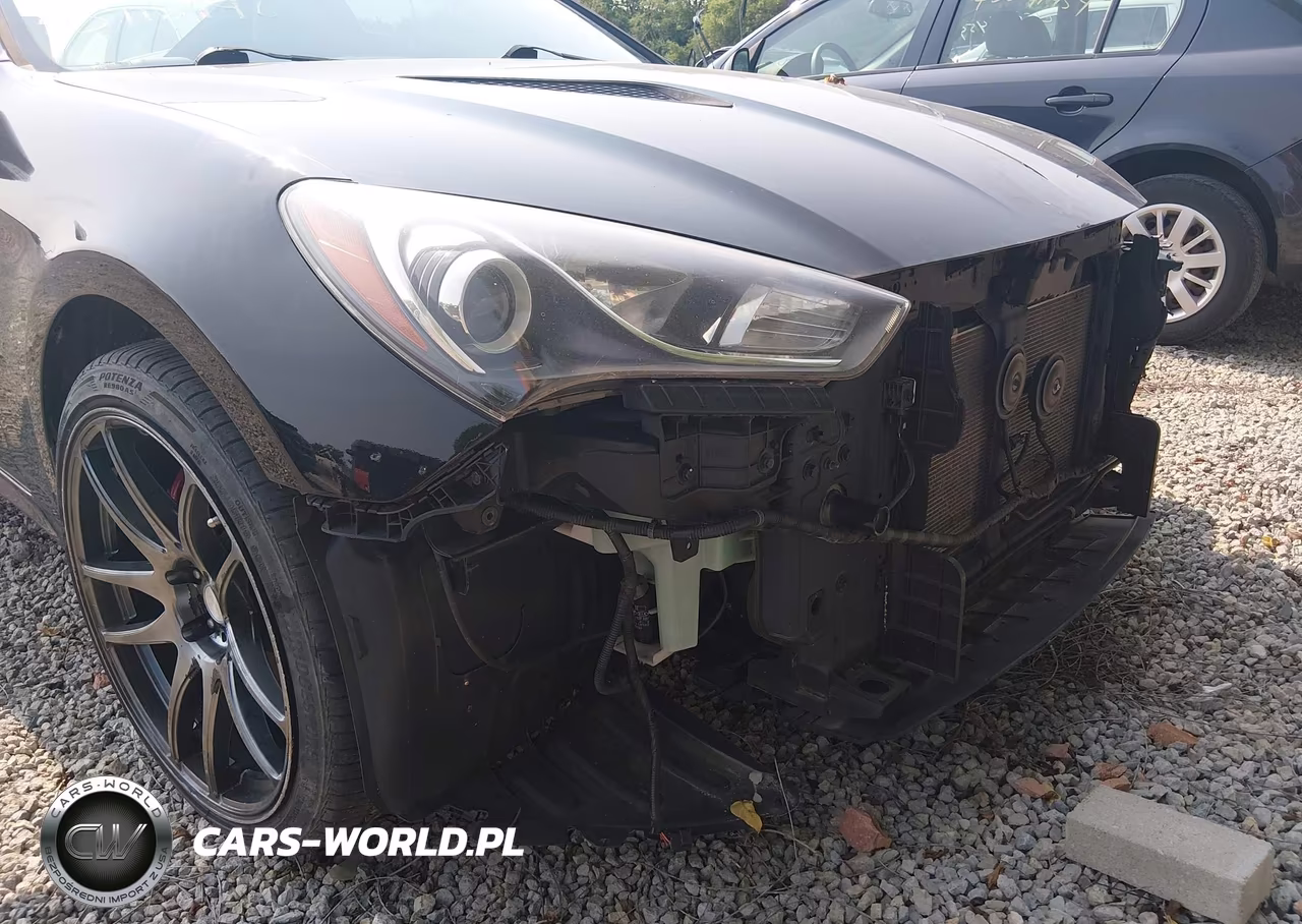 2015 Hyundai Genesis 3.8 Ultimate VIN:KMHHU6KJ5FU123905 - 13