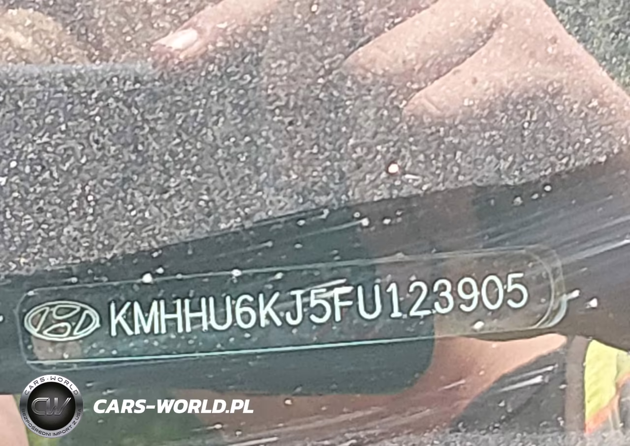 2015 Hyundai Genesis 3.8 Ultimate VIN:KMHHU6KJ5FU123905 - 9