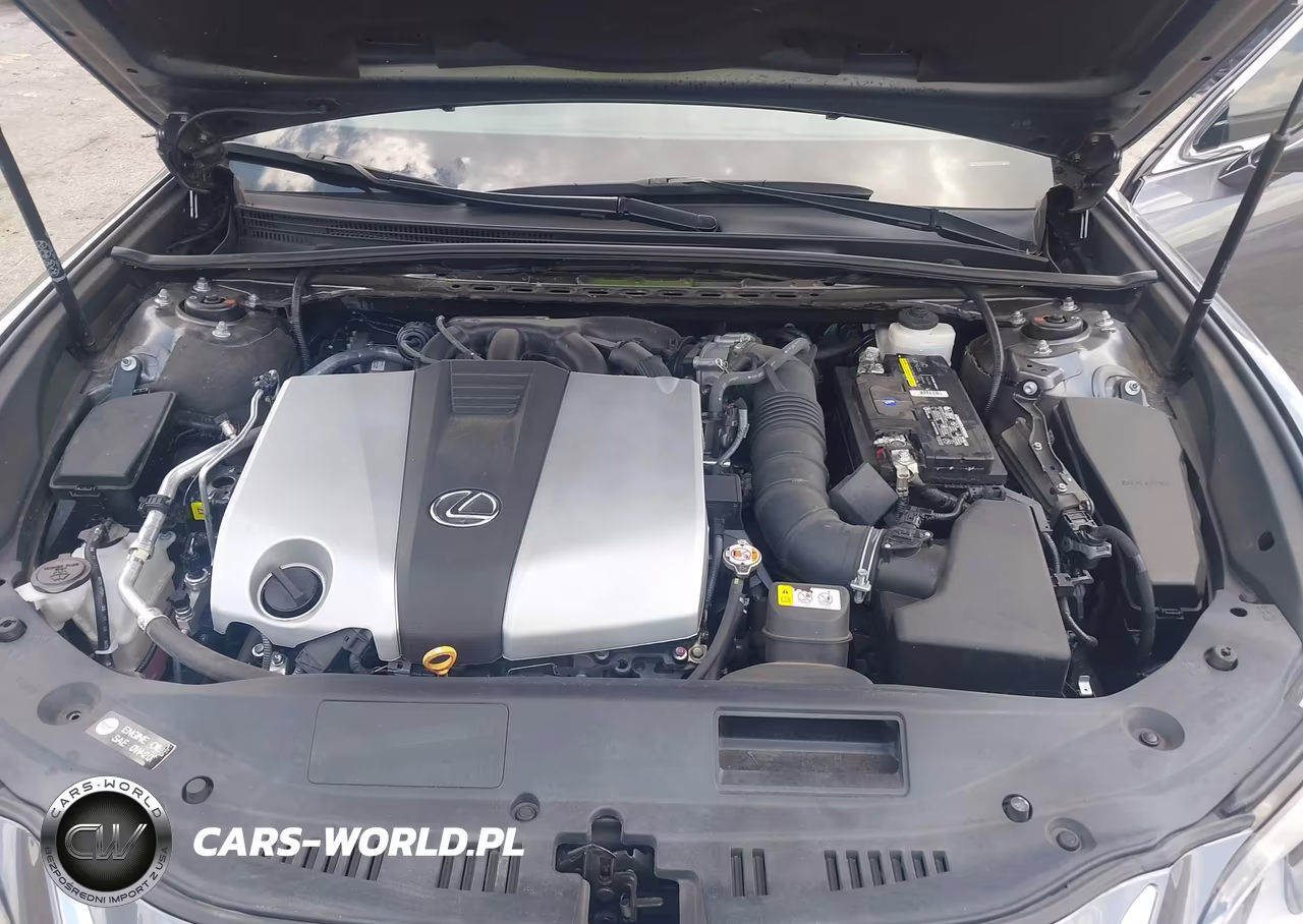 2020 Lexus Es 350 Luxury VIN:58AEZ1B16LU077979 - 10