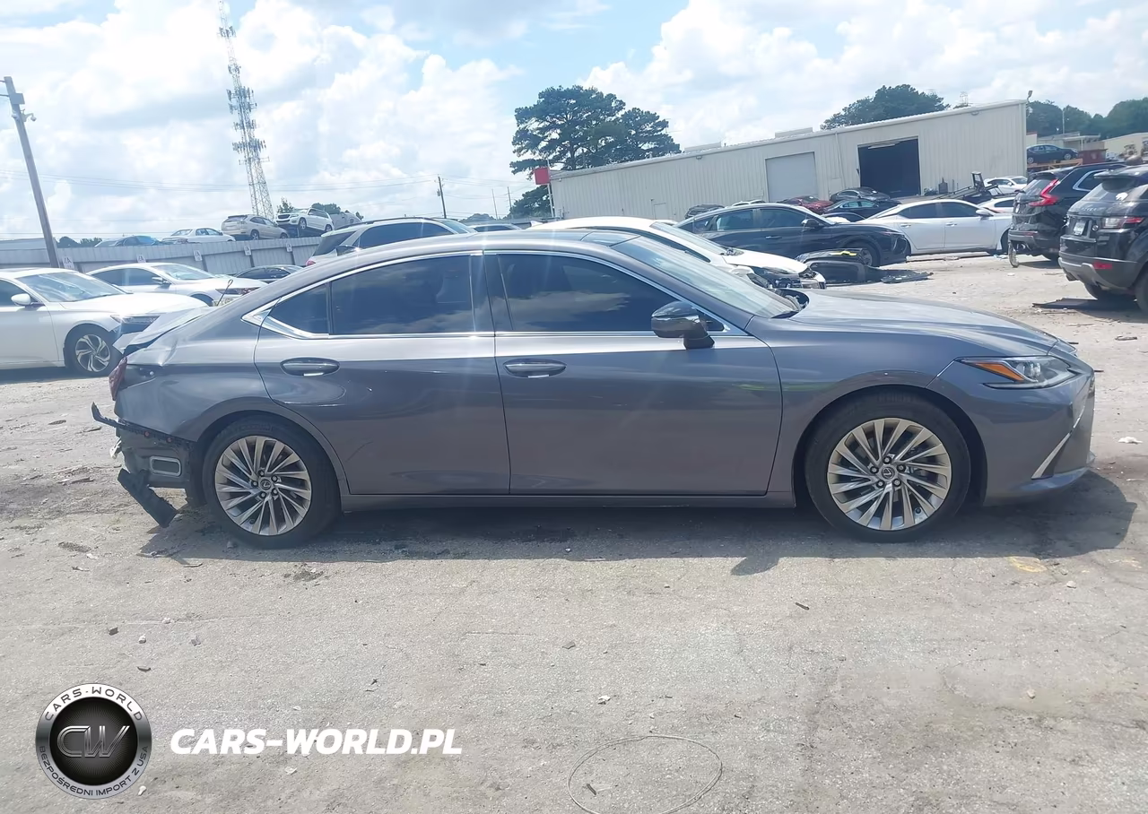 2020 Lexus Es 350 Luxury VIN:58AEZ1B16LU077979 - 13