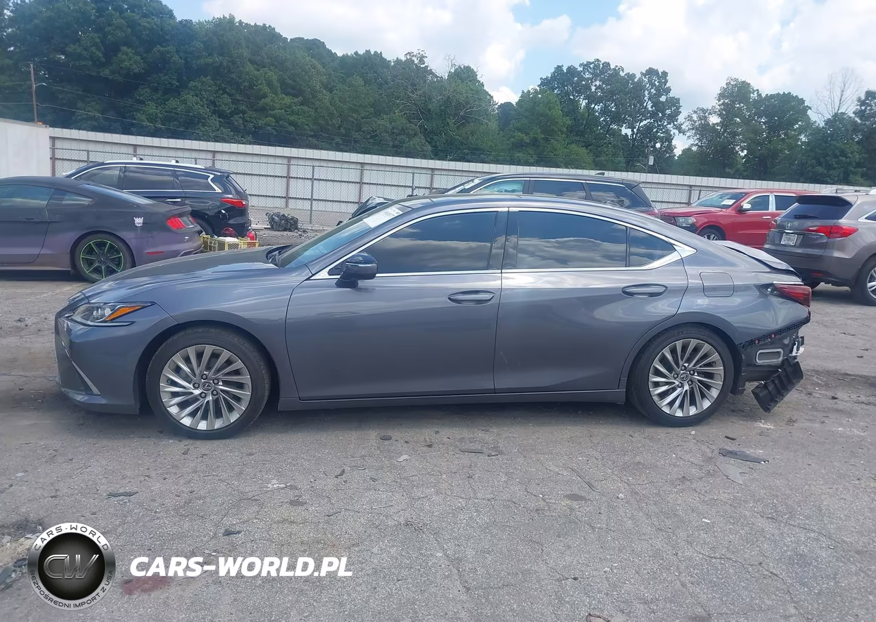 2020 Lexus Es 350 Luxury VIN:58AEZ1B16LU077979 - 14