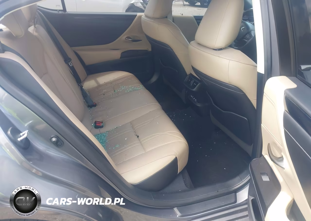 2020 Lexus Es 350 Luxury VIN:58AEZ1B16LU077979 - 8