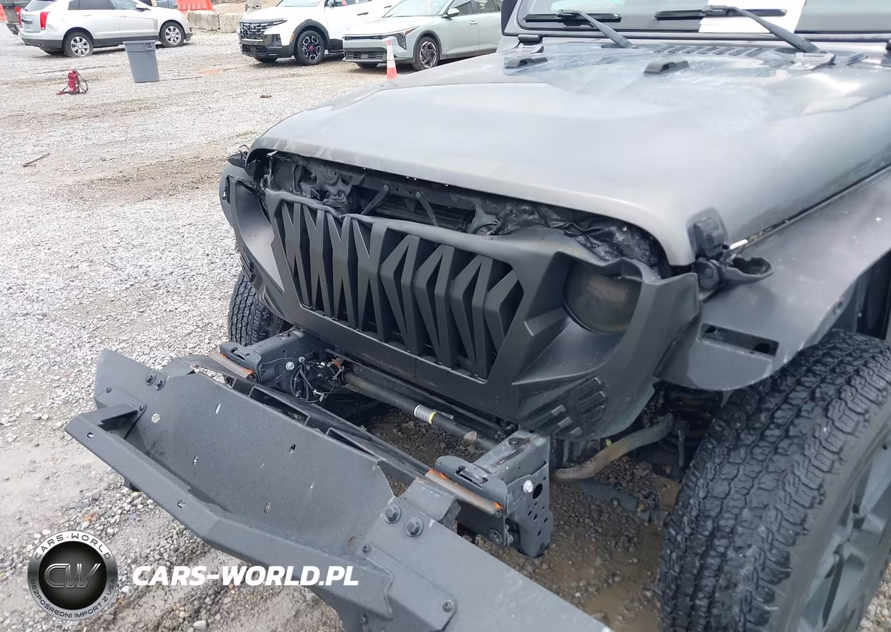 2019 Jeep Wrangler Unlimited Sahara 4X4 VIN:1C4HJXEN9KW600173 - 6