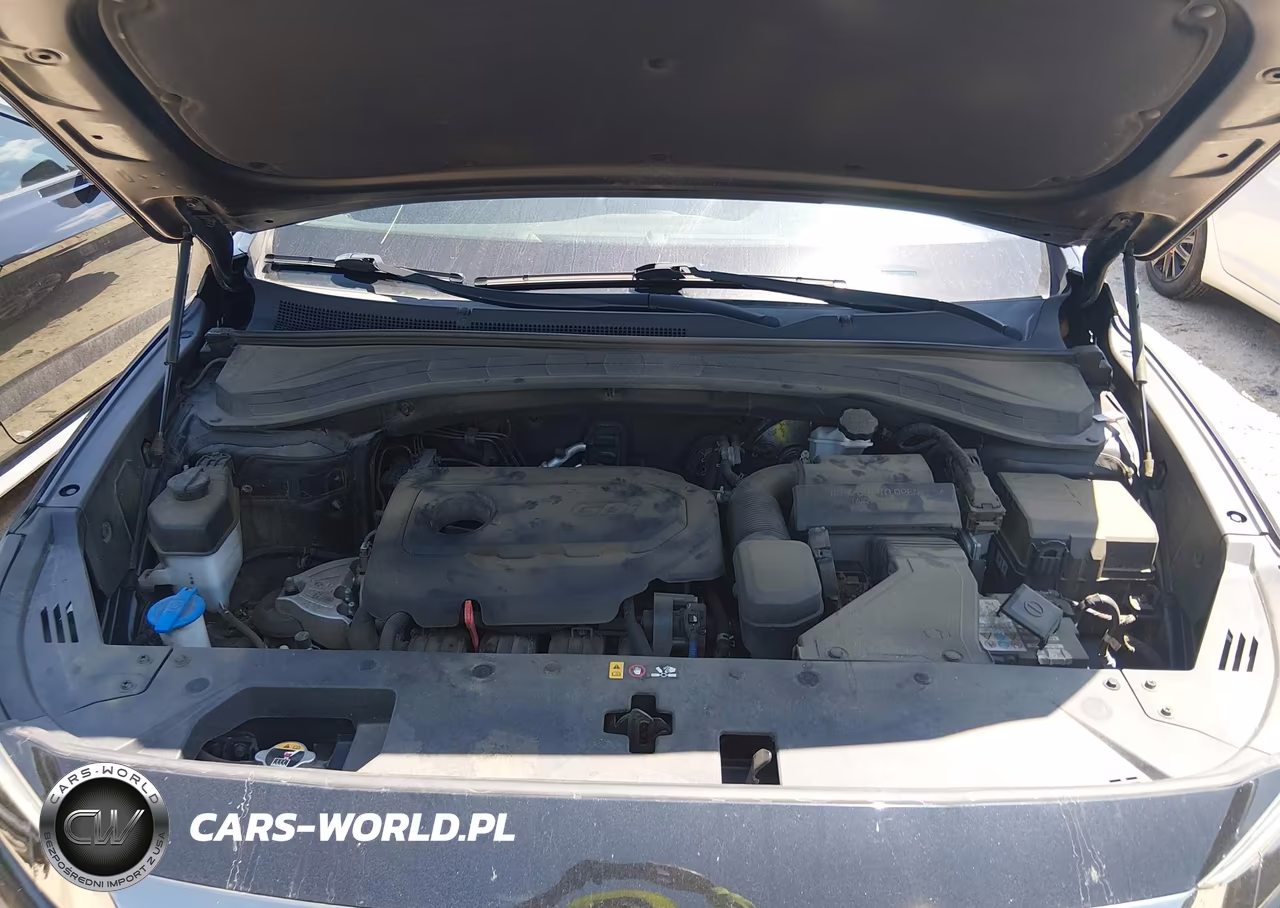 2019 Hyundai Santa Fe Sel VIN:5NMS33AD2KH020305 - 10