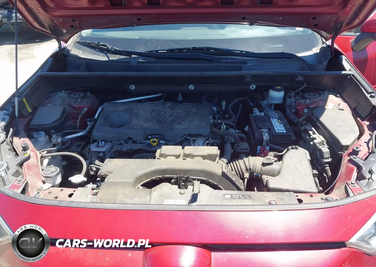 2019 Toyota Rav4 Xle VIN:JTMW1RFV0KD010005 - 10