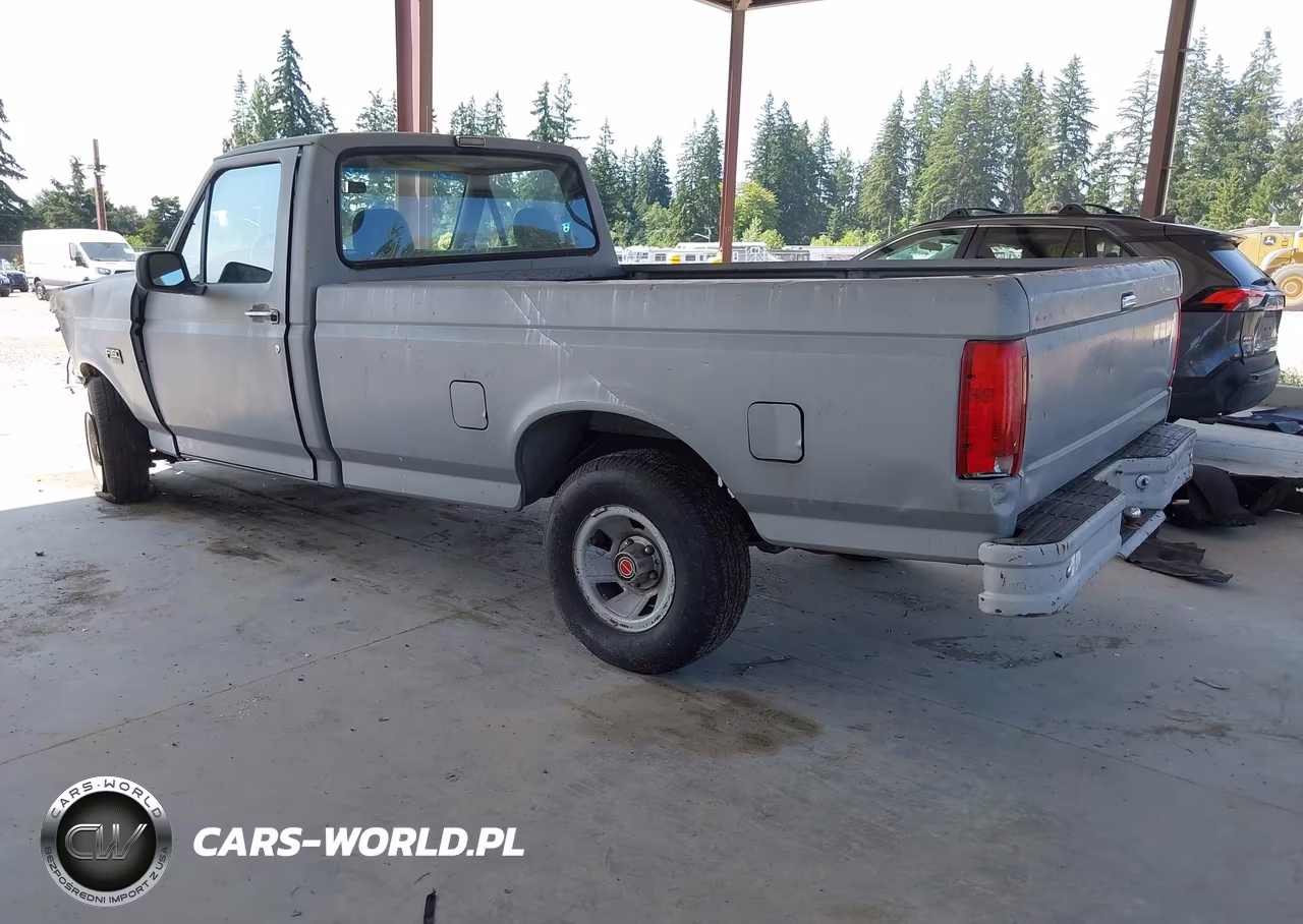 1993 Ford F150 VIN:2FTDF15Y9PCA61886 - 3