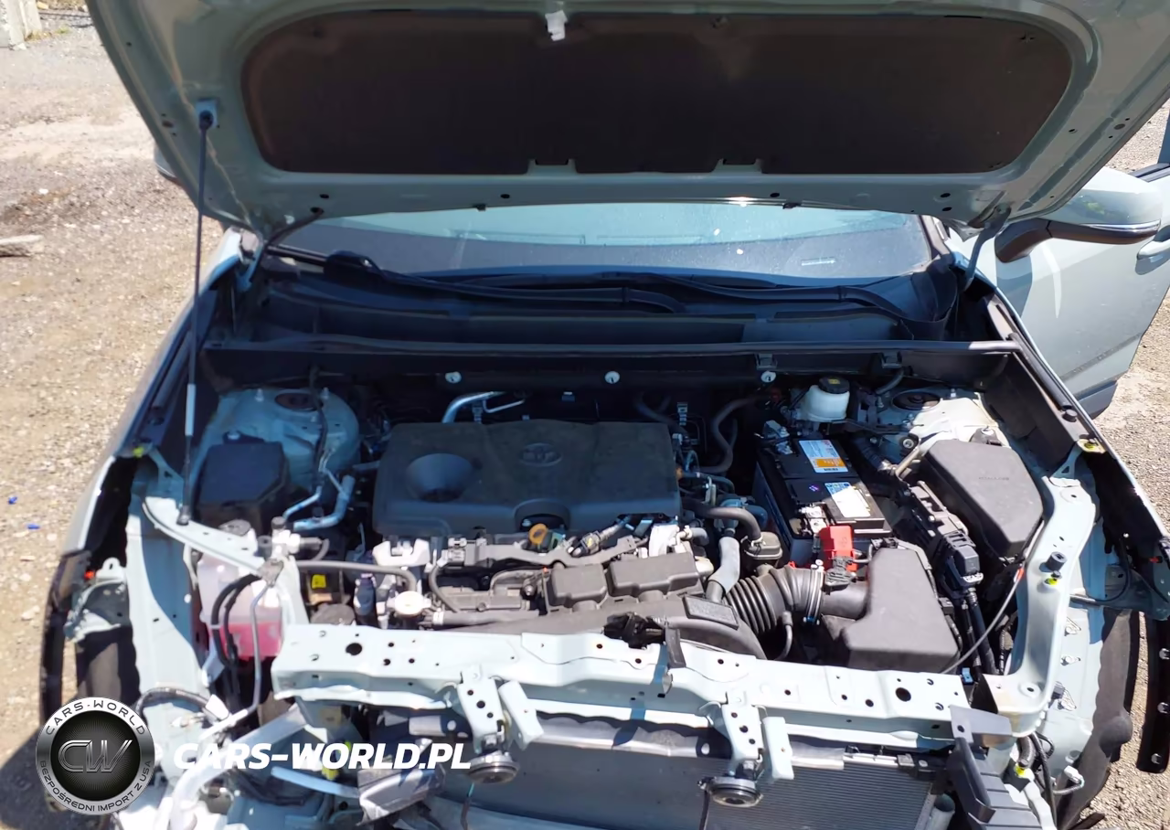 2021 Toyota Rav4 Xle VIN:2T3P1RFV5MW219766 - 10