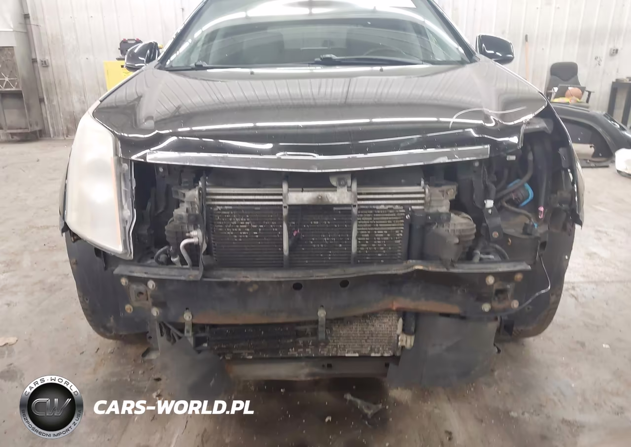 2010 Cadillac Srx Turbo Premium VIN:3GYFNKE46AS627776 - 6