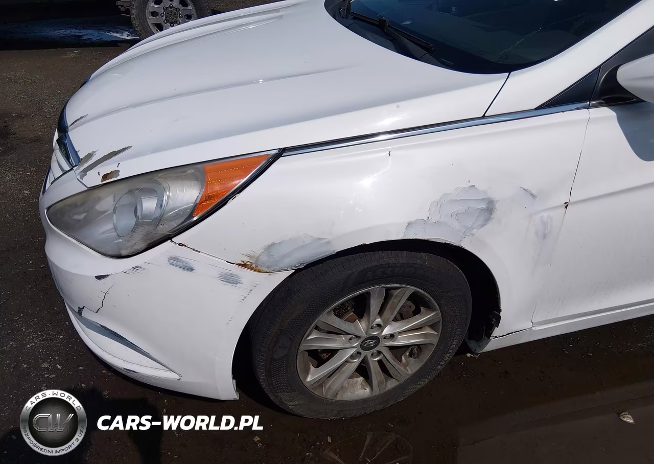 2013 Hyundai Sonata Gls VIN:5NPEB4ACXDH659986 - 12