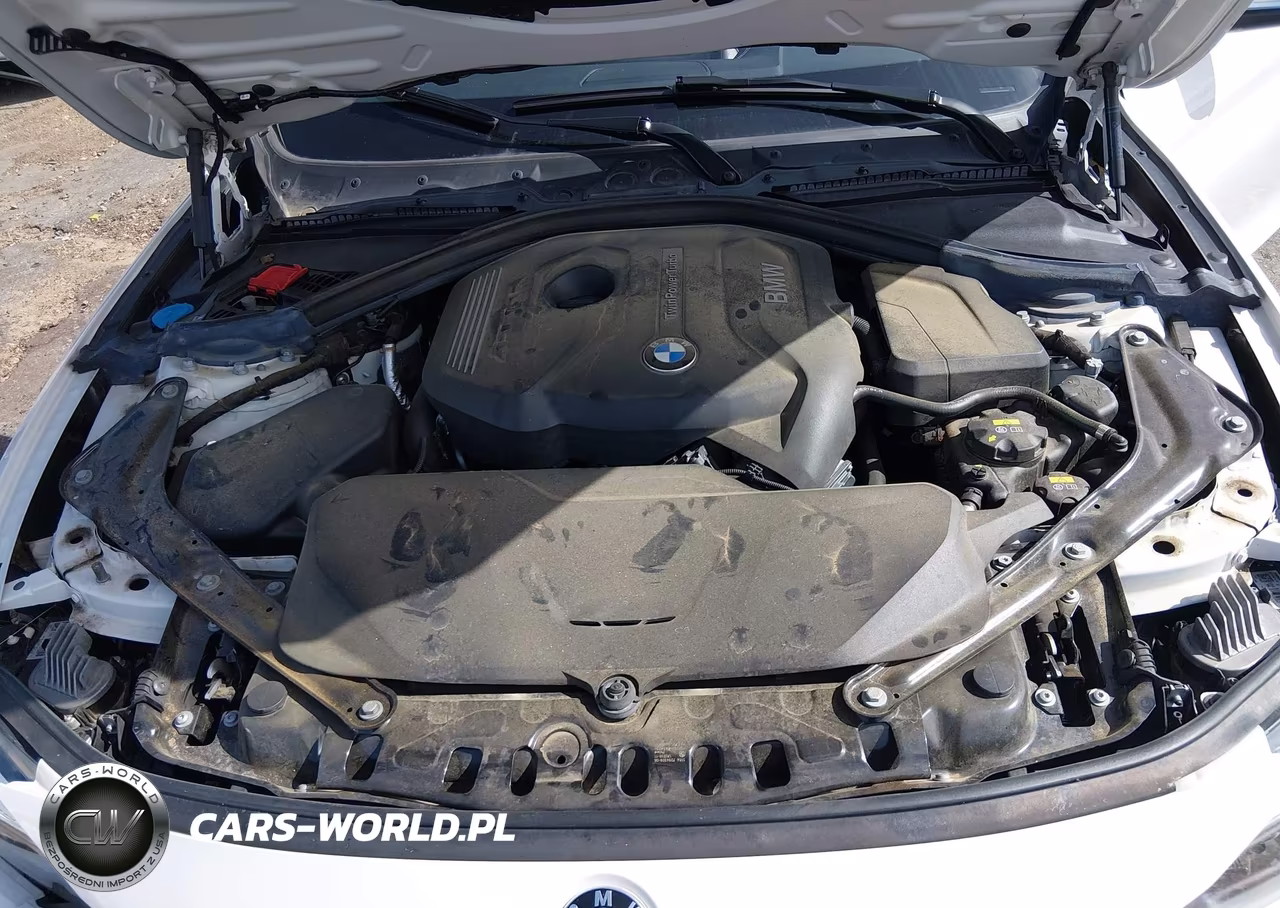 2018 BMW 430I VIN:WBA4Z1C5XJEC60138 - 10