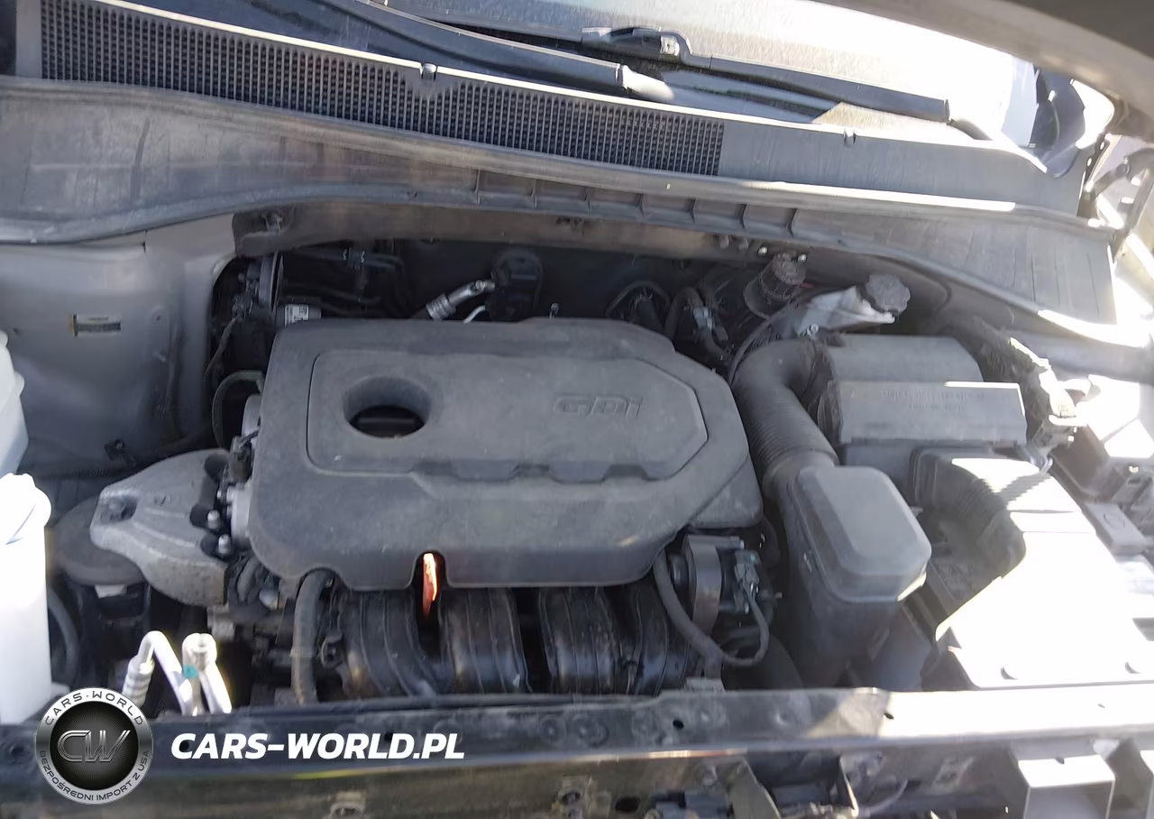 2018 Kia Sorento 2.4L Lx VIN:5XYPG4A39JG351947 - 10