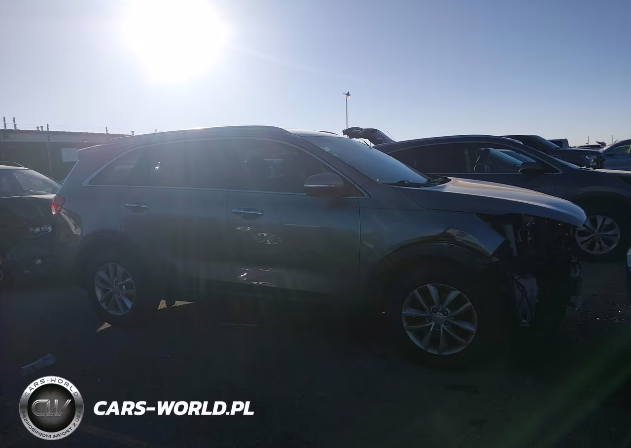 2018 Kia Sorento 2.4L Lx VIN:5XYPG4A39JG351947 - 13