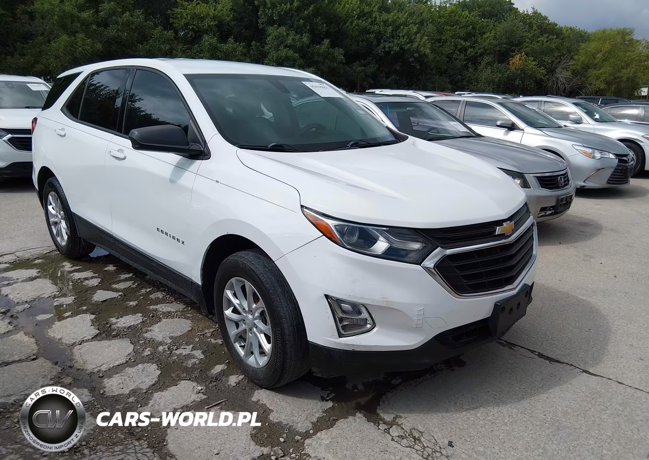 2019 Chevrolet Equinox Ls – zdjęcie 1 z 16